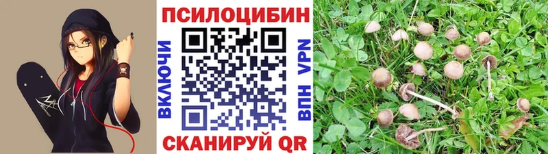 Псилоцибиновые грибы MAGIC MUSHROOMS  наркота  Саянск 